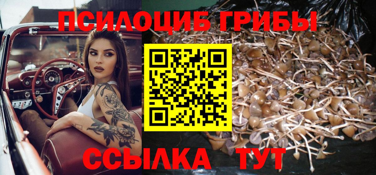 Псилоцибиновые грибы мицелий  где найти наркотики  Галлюциногенные грибы прущие грибы  Калач-на-Дону  Вход с VPN 