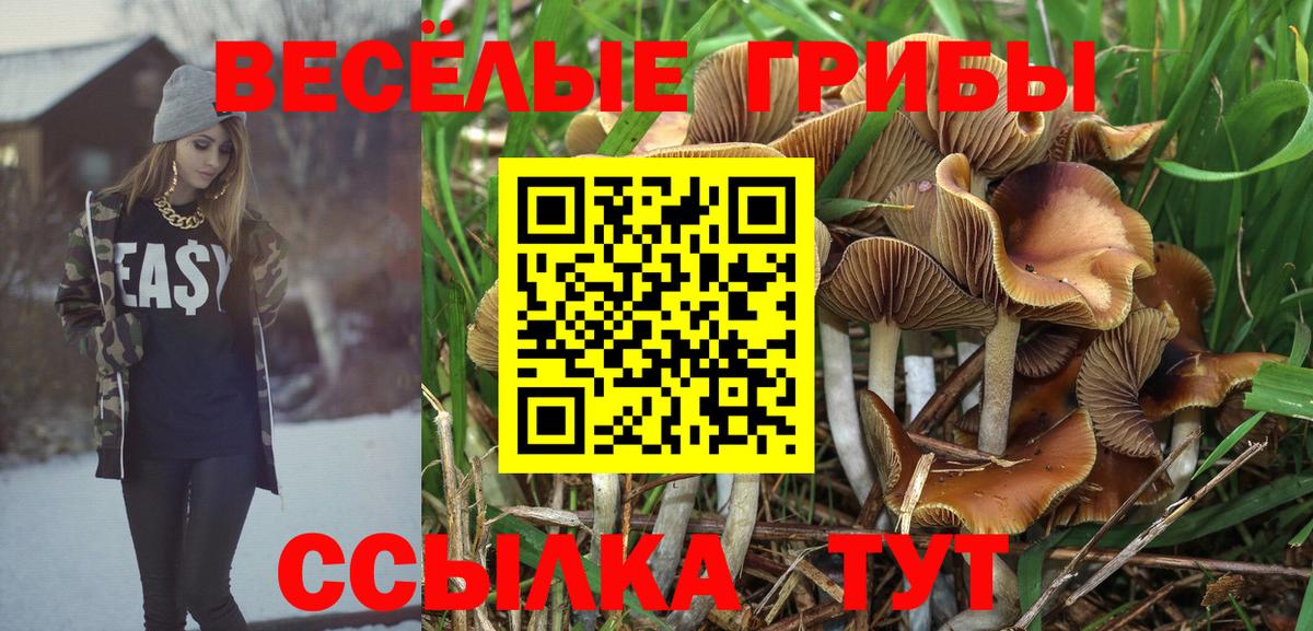 Галлюциногенные грибы GOLDEN TEACHER Калач-на-Дону